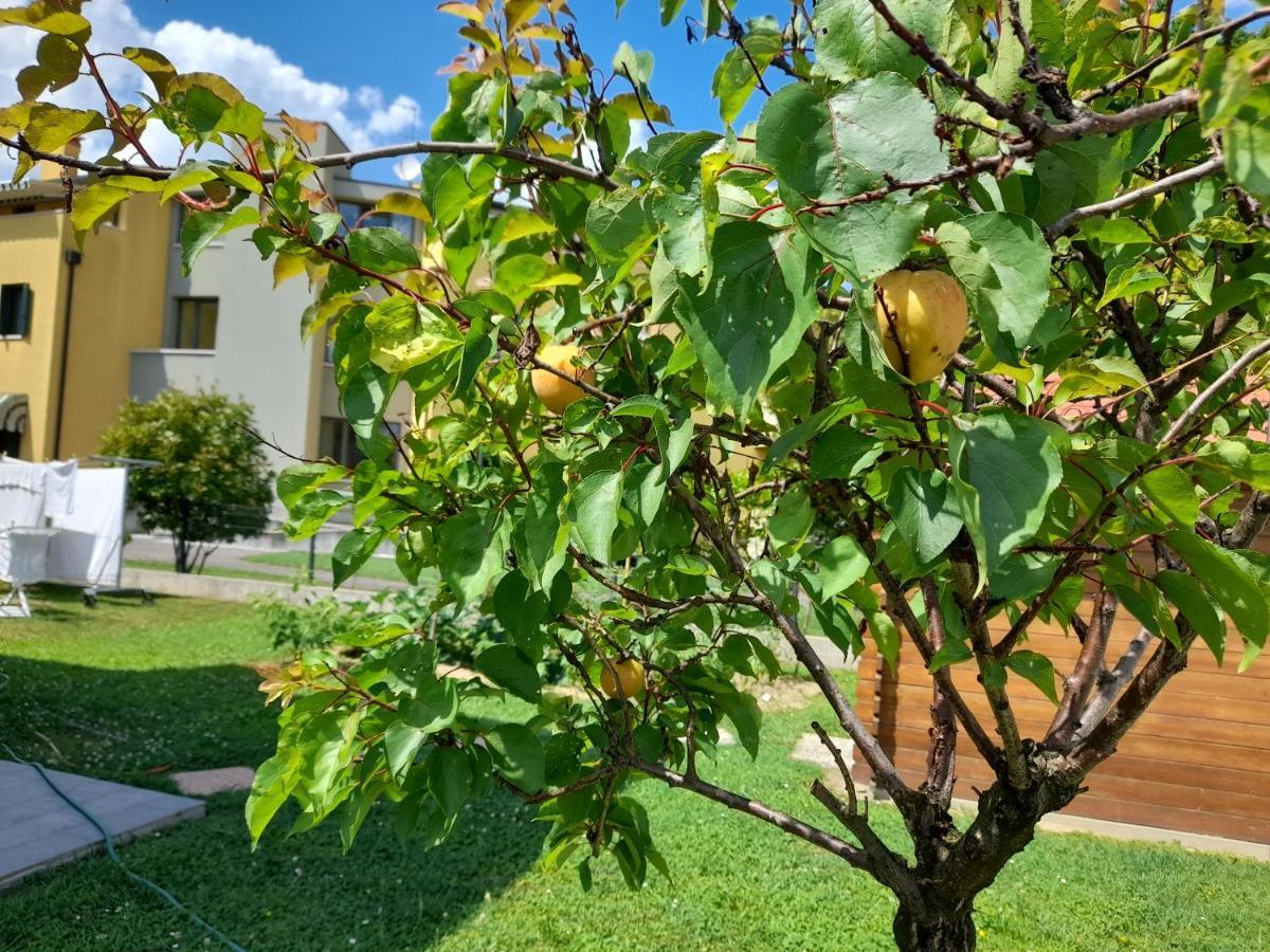 B&B Villa Griselda Quinto Di Treviso Buitenkant foto